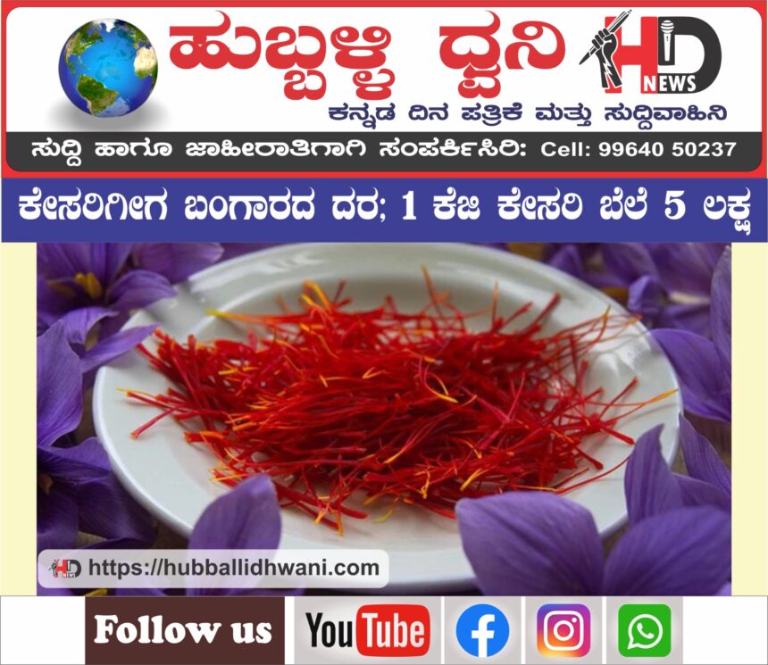 ಭಾರತದ ಕೇಸರಿಗೀಗ ಬಂಗಾರದ ದರ; 1 ಕೆಜಿ ಕೇಸರಿ ಬೆಲೆ 5 ಲಕ್ಷ