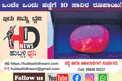 ಒಂದೇ ಒಂದು ಮಾವಿನ ಹಣ್ಣಿಗೆ 10 ಸಾವಿರ ರೂ..!