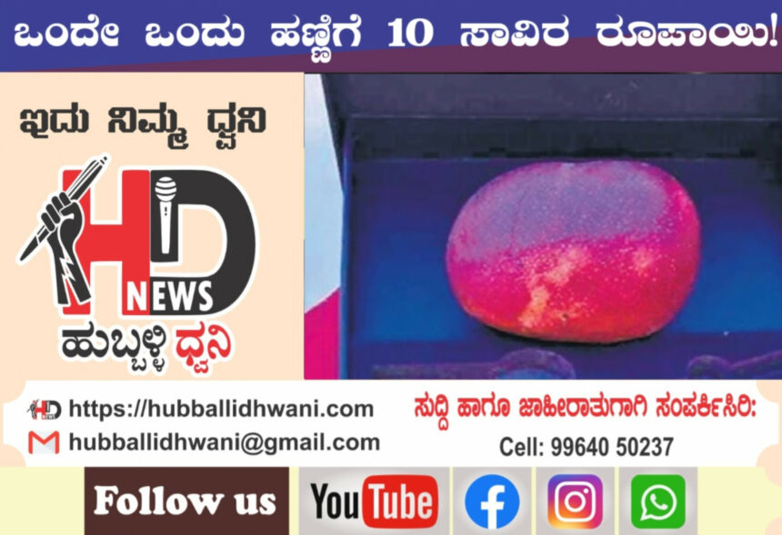 ಒಂದೇ ಒಂದು ಮಾವಿನ ಹಣ್ಣಿಗೆ 10 ಸಾವಿರ ರೂ..!