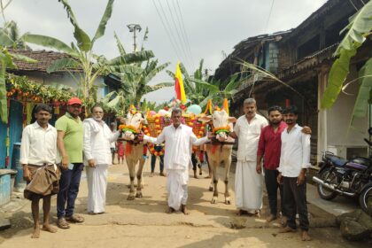 ಸಂಭ್ರಮದ ದೀಪಾವಳಿ; ಕಣ್ಮನ ಸೆಳೆದ ಎತ್ತುಗಳ ಮೆರವಣಿಗೆ